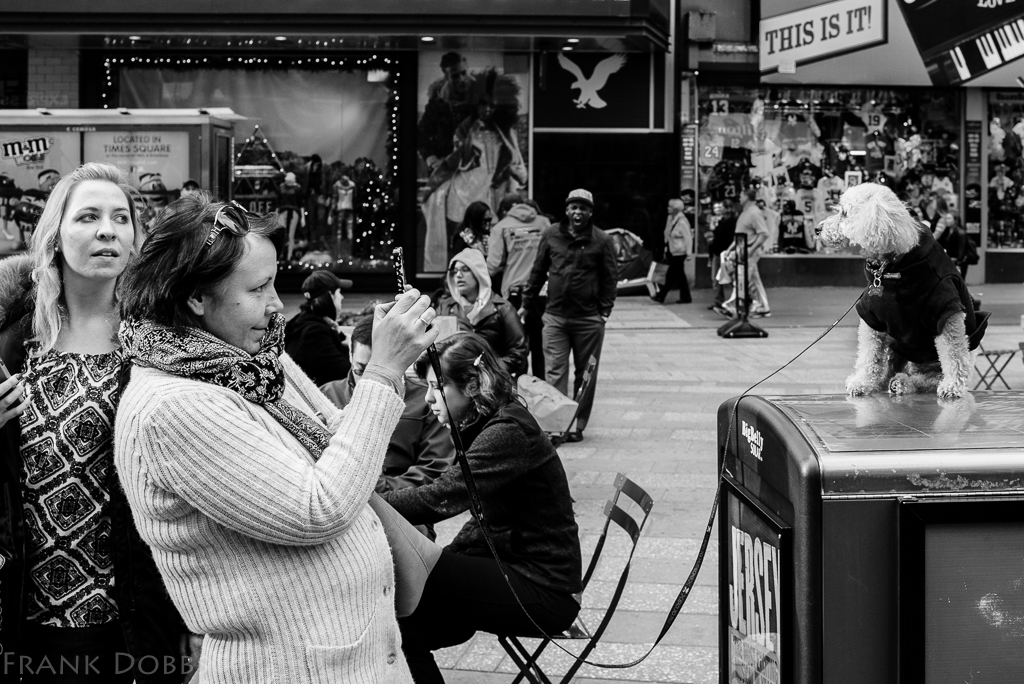 Broadway star-20151211 - 0405