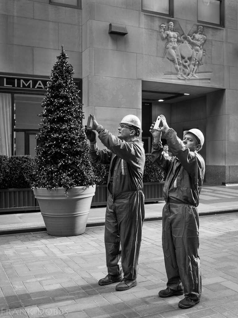 The brotherhood of labor-20151211 - 0355-3