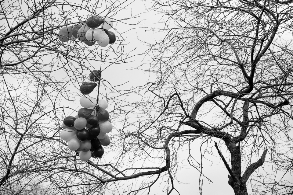2016 January 02, 2016 20160102-_DSC7210 The grapes of wrath have ripened_