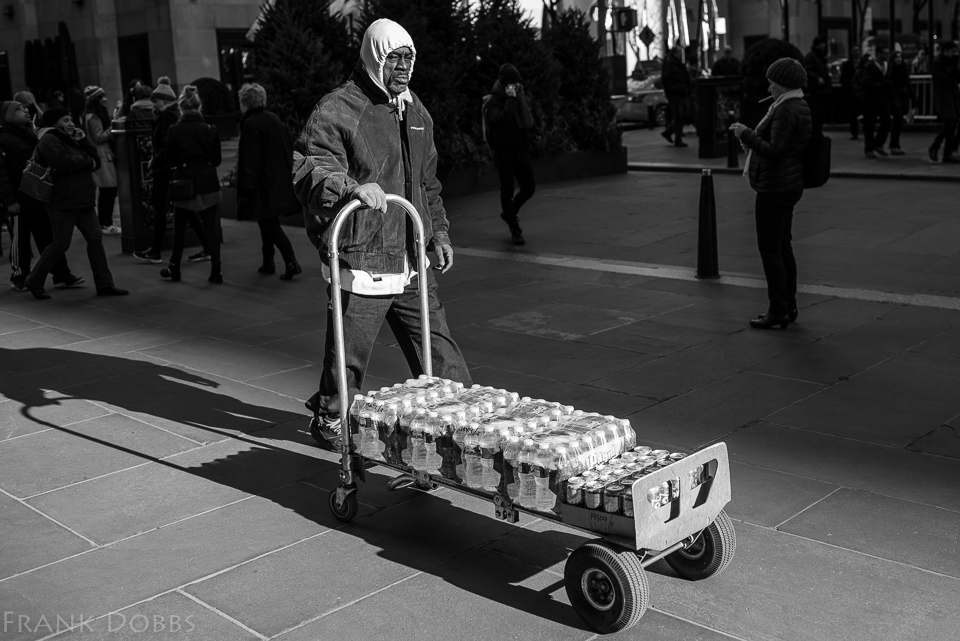 2016 January 06, 2016 20160106-_DSC0881 Moment in the sun_