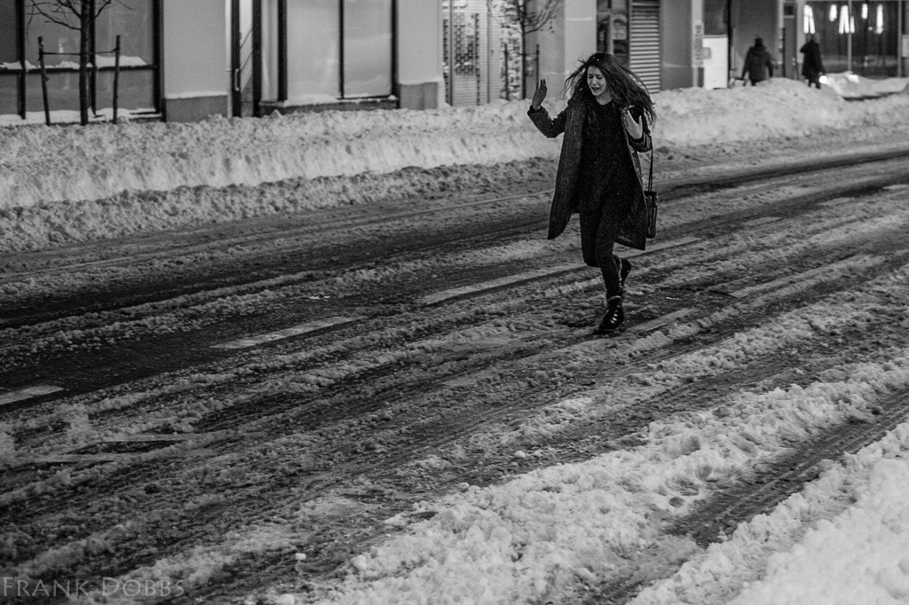 Blizzard II -20160124 - 5667