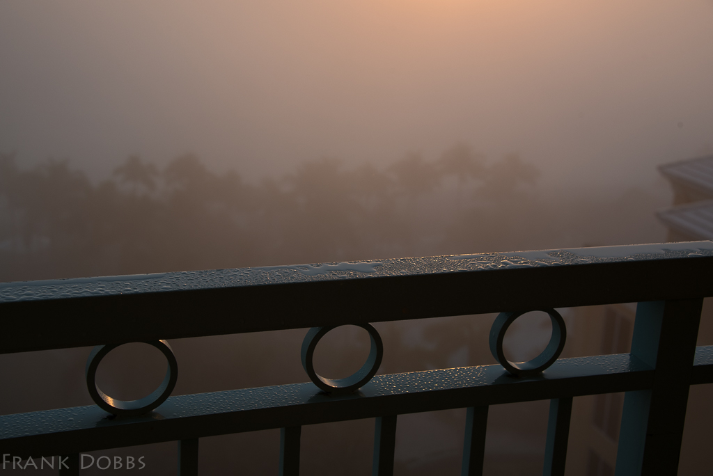 Key Biscayne in the rain II-20160116 - 1215