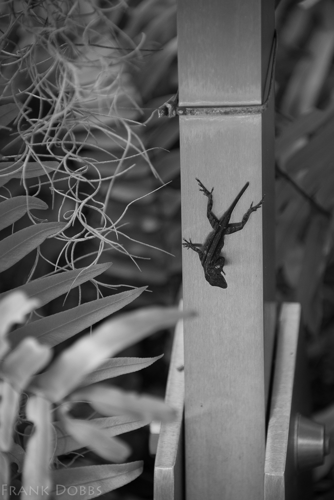 Vizcaya -20160116 - 1318