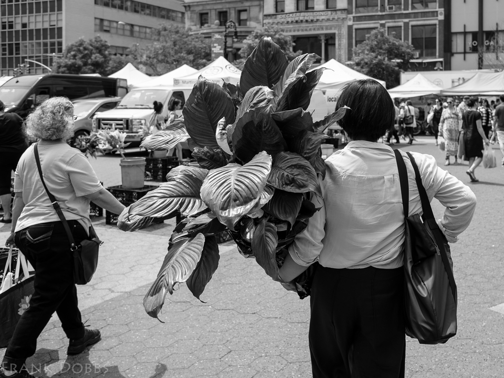 Greenmarket trophy-20160604 - 0808