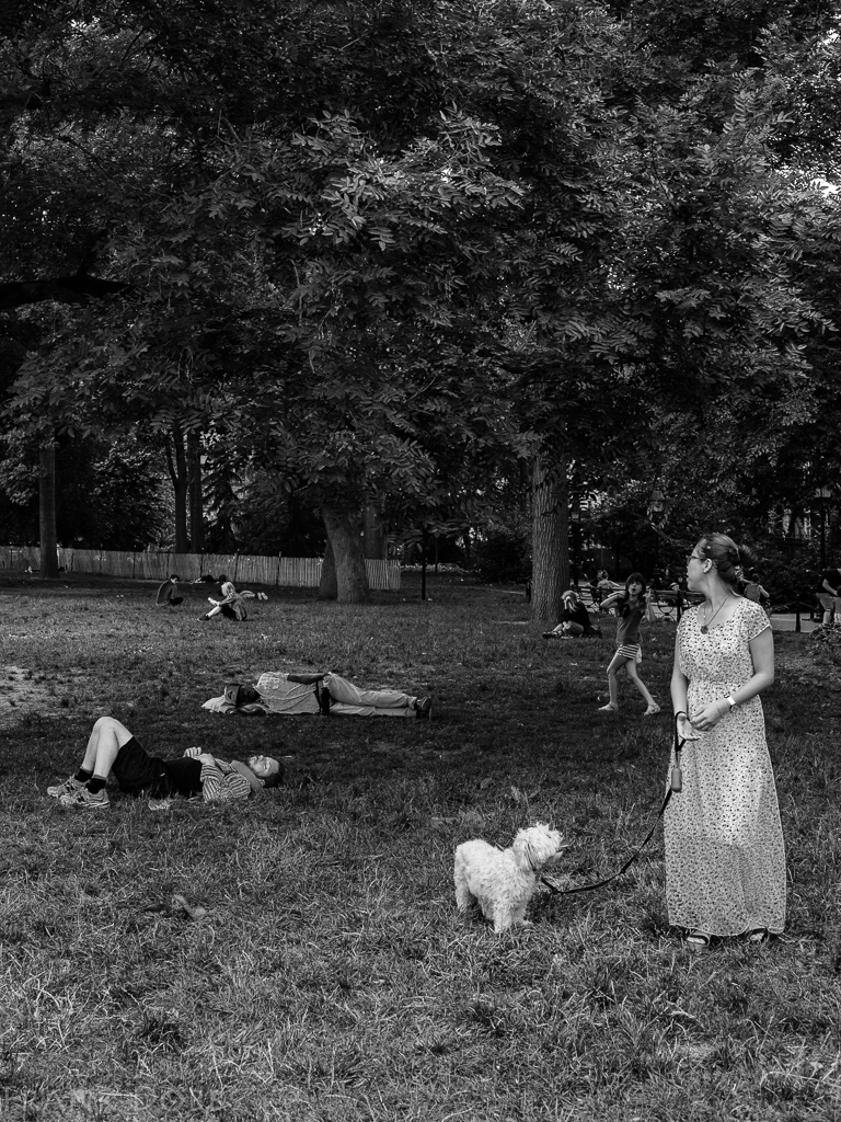 Shepherdess of dreams -20160627 - 8073