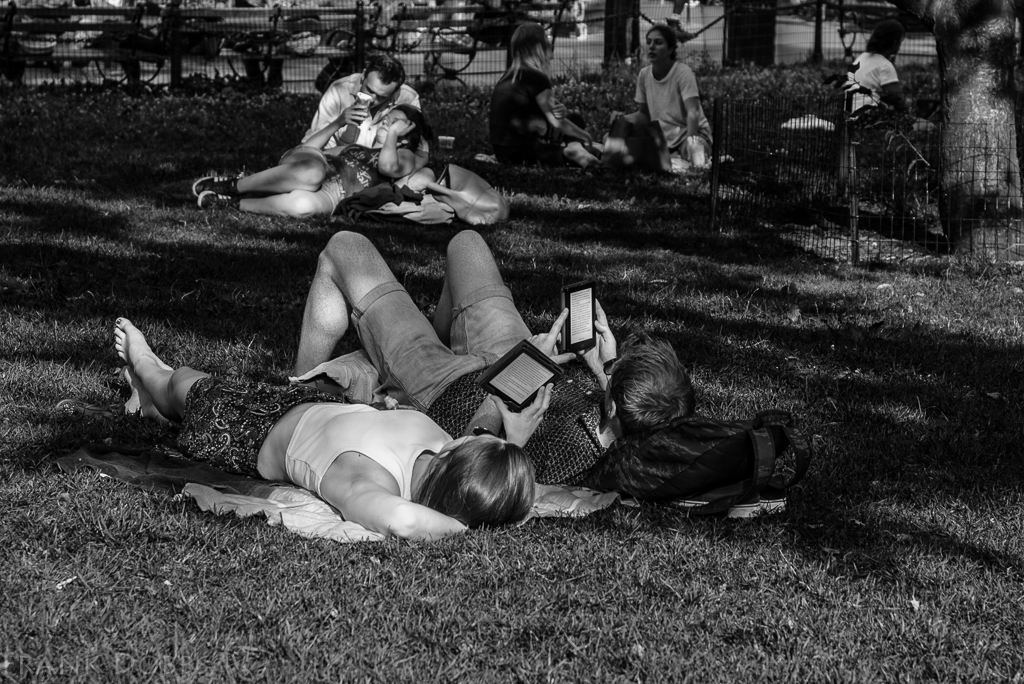 A romance being kindled-20160720 - 9870