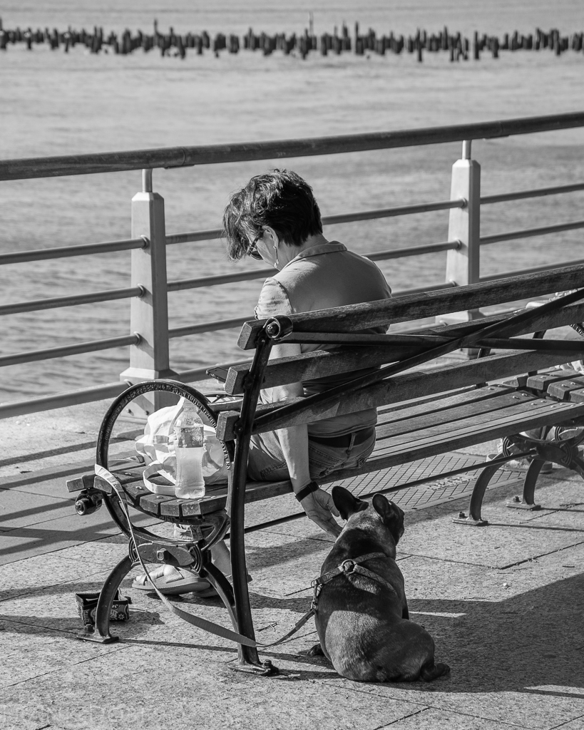 Touching-20160903 - 4074