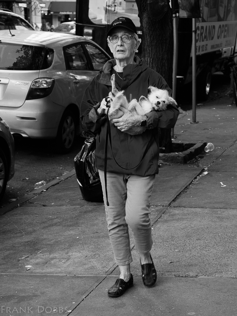 puppy-love-20161113-8562-2